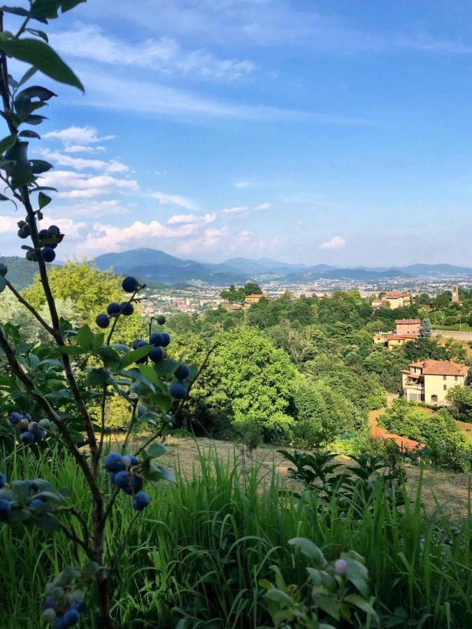 بيرغامو Foresteria Antica Bastia B&B المظهر الخارجي الصورة